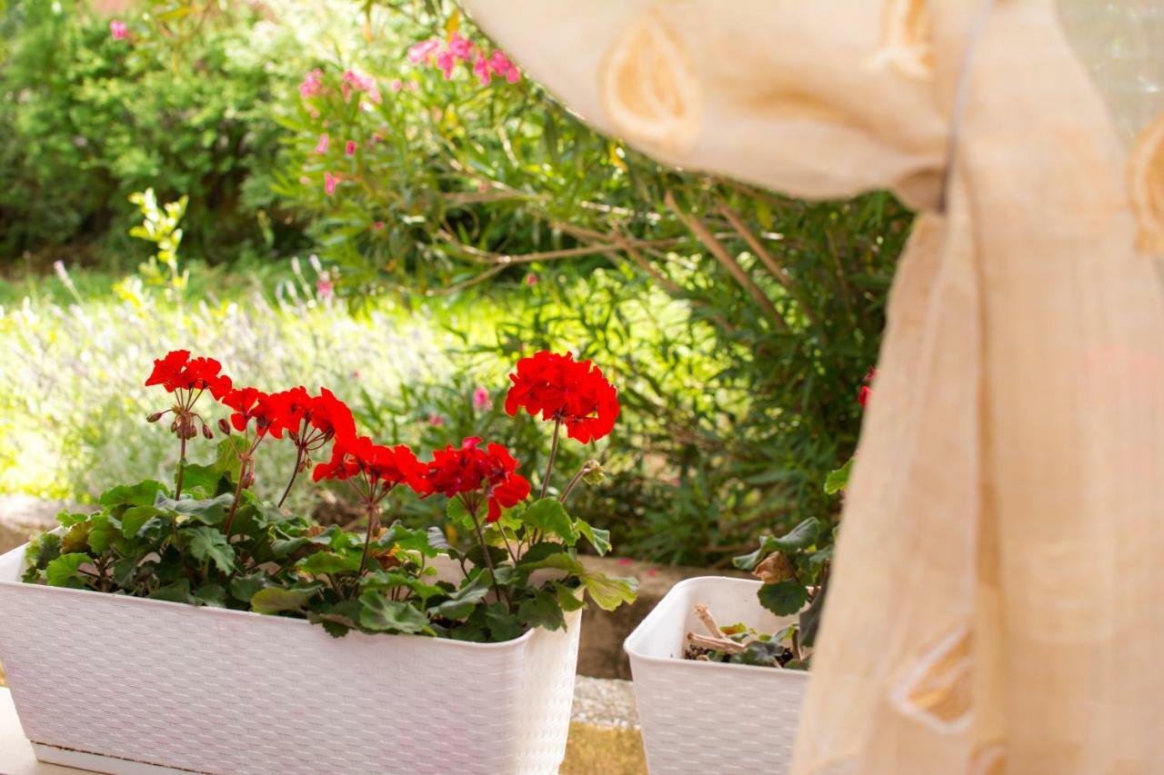 Apartment Vida - Amazing Place With Garden And Terrace Rijeka Ngoại thất bức ảnh