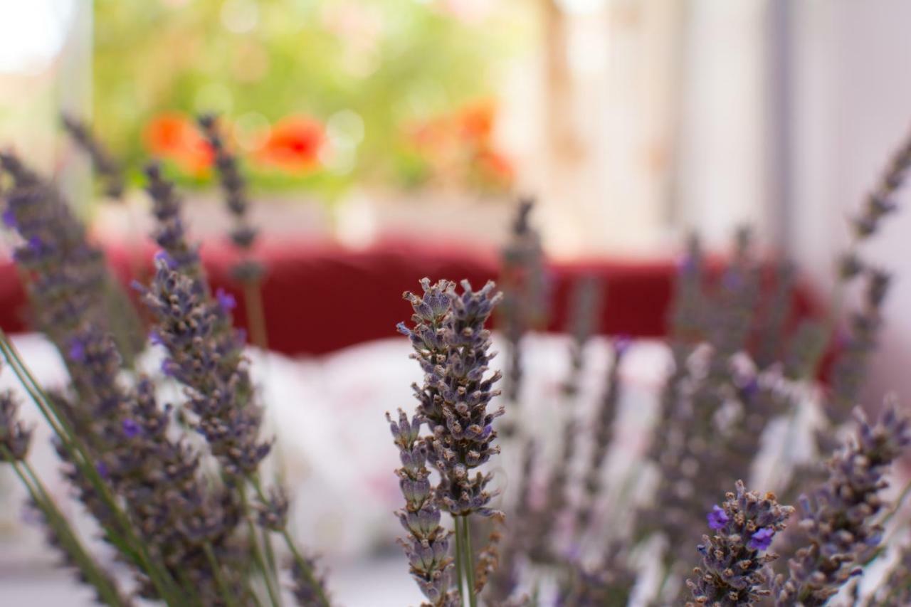 Apartment Vida - Amazing Place With Garden And Terrace Rijeka Ngoại thất bức ảnh